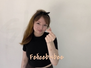 Felicebisbee