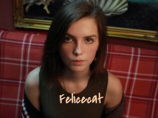 Felicecat