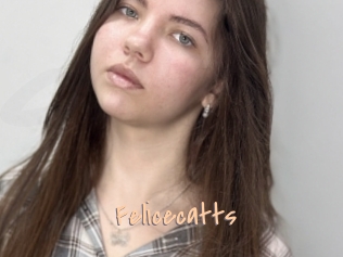 Felicecatts