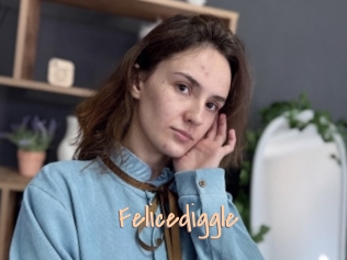 Felicediggle