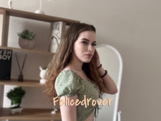 Felicedrover