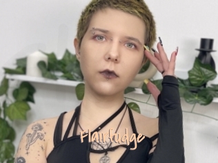 Flairfudge