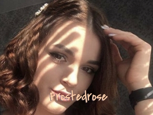 Frostedrose