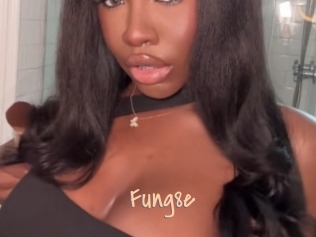 Fung8e