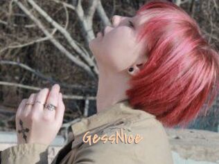 GessNice