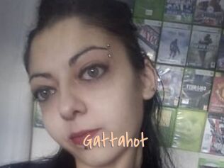 Gattahot