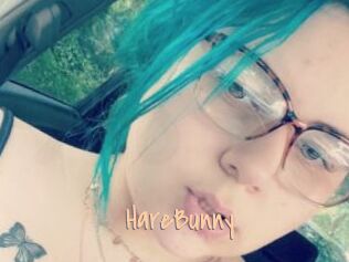 HareBunny