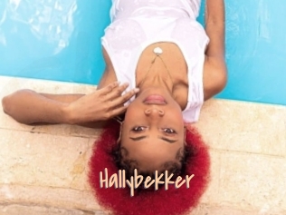 Hallybekker