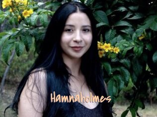 Hamnaholmes