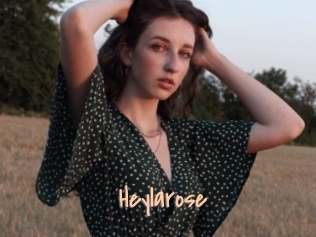 Heylarose