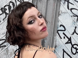 Hollisaldridge
