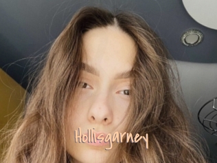 Hollisgarney