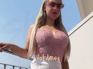 Hotdaisy