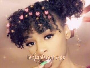 IndigoAmorexo
