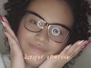 Juniper_camrose