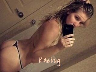 Kaebug