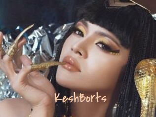 KeshBorts