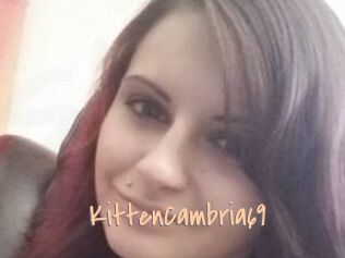 KittenCambria69
