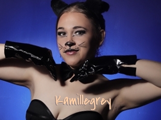 Kamillegrey