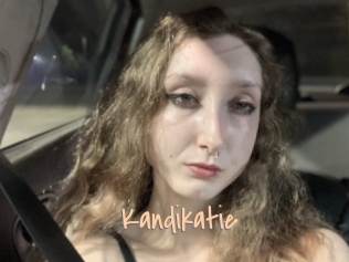 Kandikatie