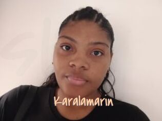 Karalamarin