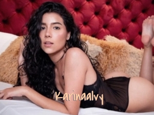 Karinaalvy