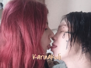 Karinakodi