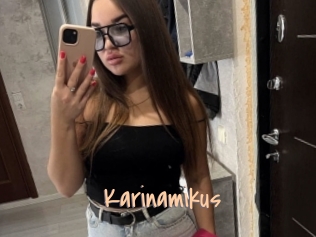 Karinamikus