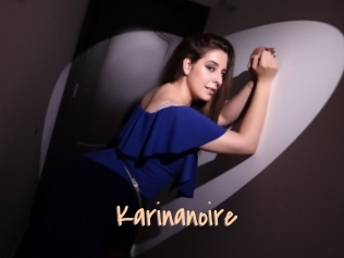 Karinanoire