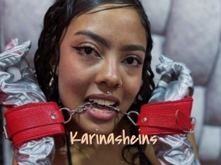 Karinasheins