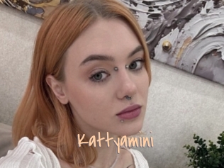 Kattyamini