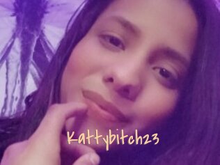 Kattybitch23