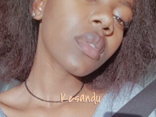 Kesandu