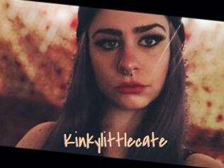 Kinkylittlecate