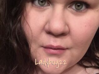 Ladybug22