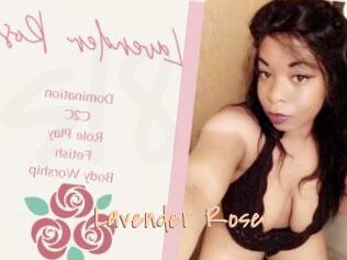 Lavender_Rose