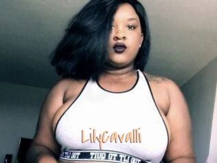 Lily_Cavalli