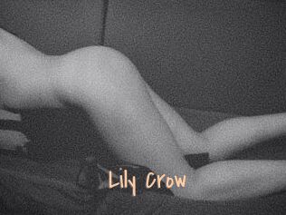 Lily_Crow