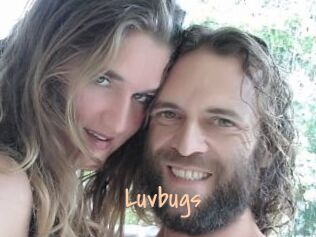 Luvbugs
