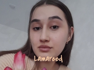 Lamareed