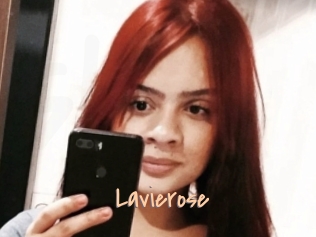 Lavierose