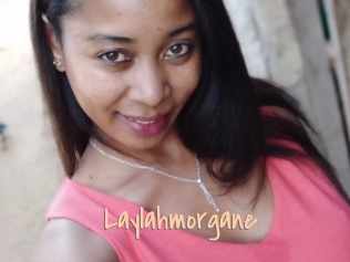 Laylahmorgane
