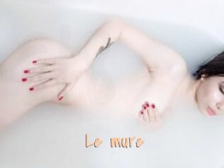 Le_mure