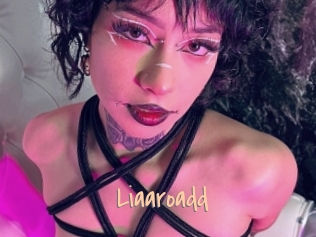 Liaaroadd