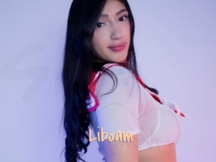 Libcam