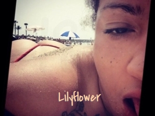 Lilyflower