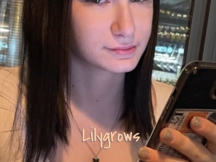 Lilygrows