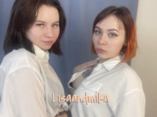 Lisaandmika