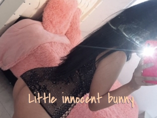 Little_innocent_bunny