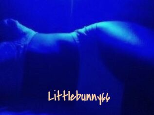 Littlebunny66